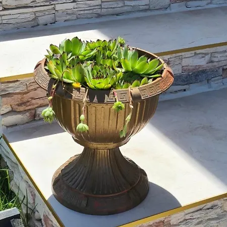 Kuca Za Odmor Toma Ljubuški