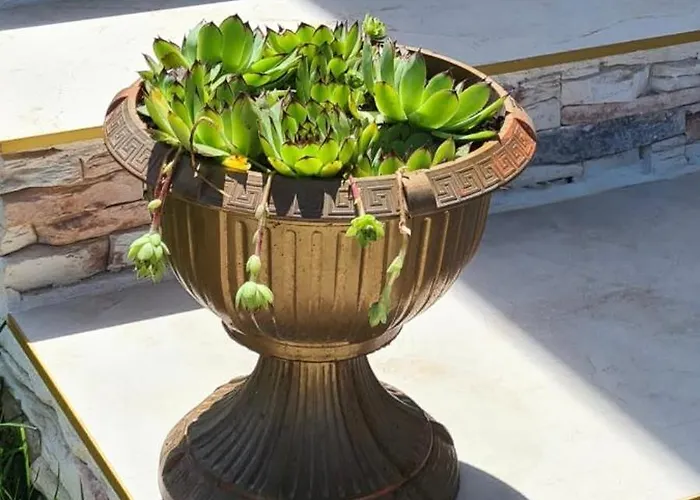 Kuca Za Odmor Toma Ljubuški